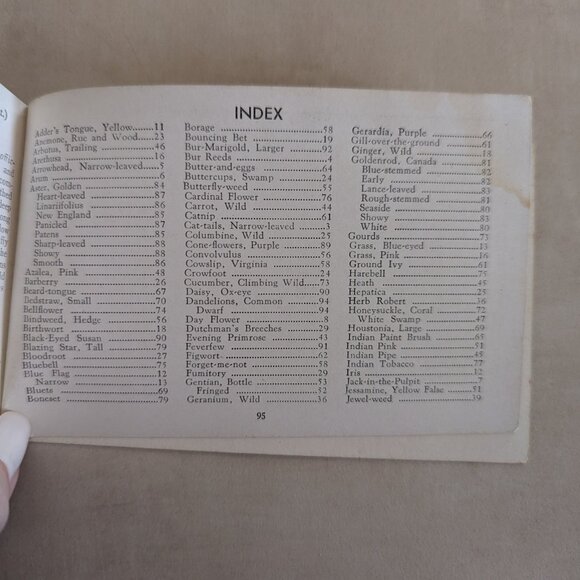 Vintage Wild Flowers of America Paperback Pocket Picture Reference Book 1932 - Picture 12 of 14